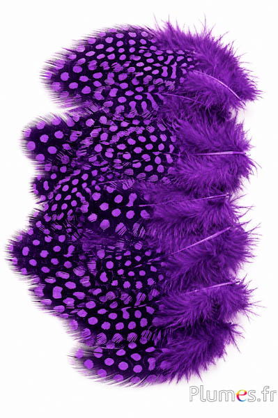 Parelhoen - 3-6 cm - aubergine